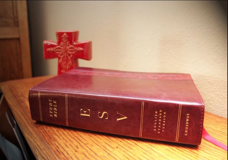 English Standard Version (Esv)