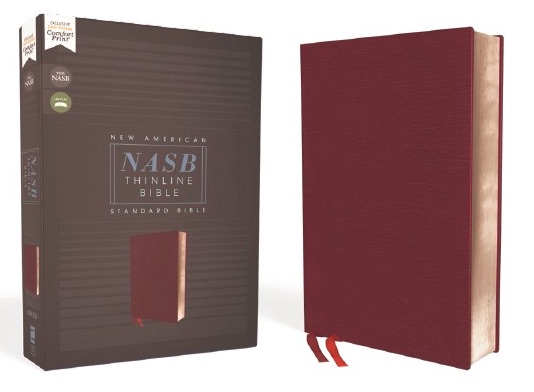 New American Standard Bible (Nasb)