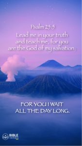 Psalm 25:5 - Bible Verses About Salvation