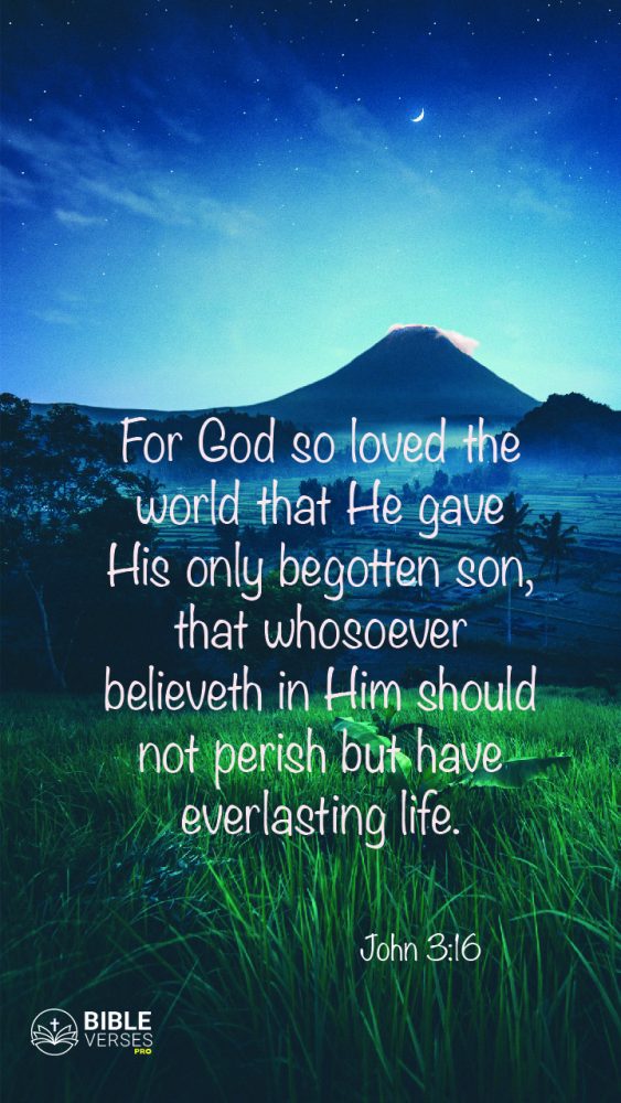 26 Important Bible Verses on Eternal Life for every believer