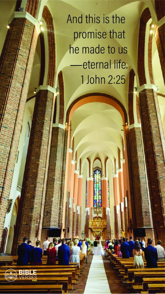 Bible Verses On Eternal Life