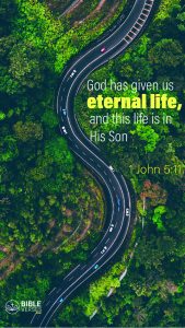 Download Phone Wallpaper - Bible Verses On Eternal Life 
