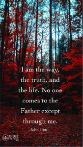 Download Phone Wallpaper - Bible Verses On Eternal Life 