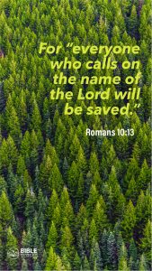 Bible Verses On Eternal Life