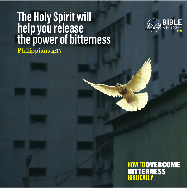 Holy Spirit - How To Overcome Bitterness Biblically-100