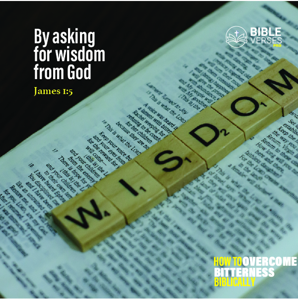 Wisdom - How To Overcome Bitterness Biblically-100