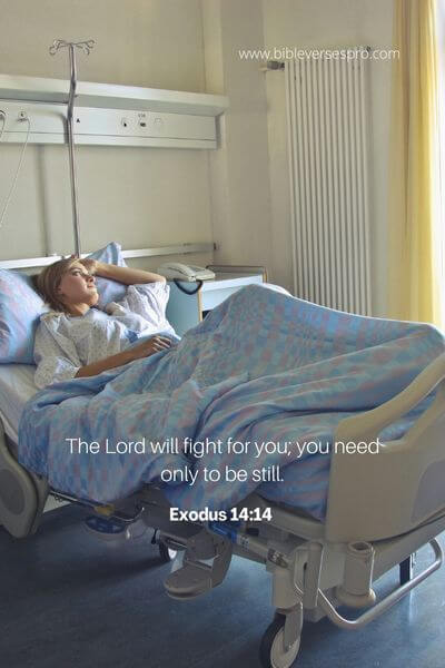 Exodus 14_14 