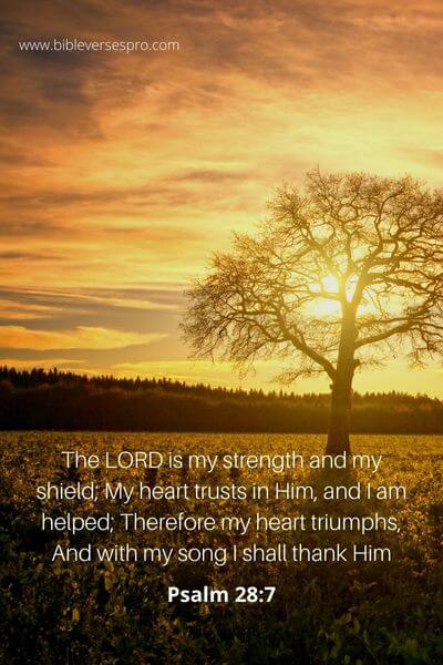 Psalm 28_7
