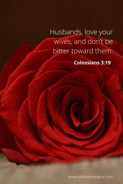Colossians 3_19 - Love is the answer