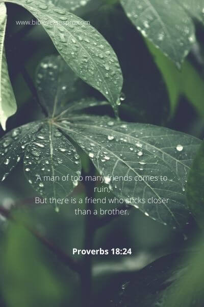Bible verses about not letting others bring you down