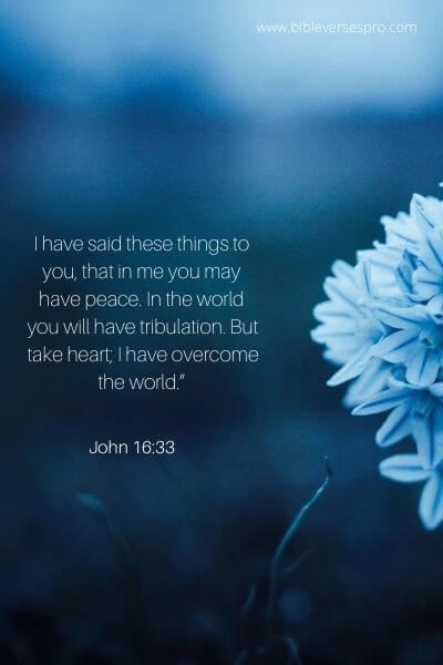 John 16_33 - Be consoled