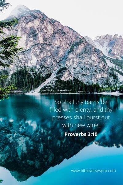 Proverbs 3_10