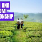 Ruth and Naomi relationship