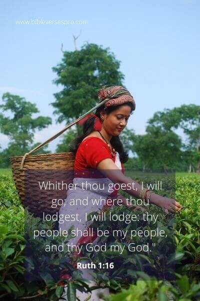 Characteristics of Ruth in The Bible
