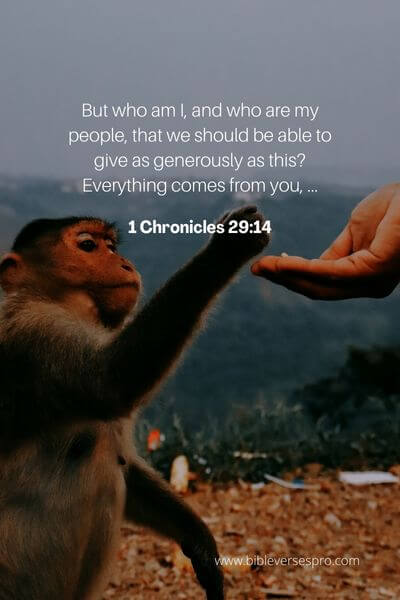 1 Chronicles 29_14