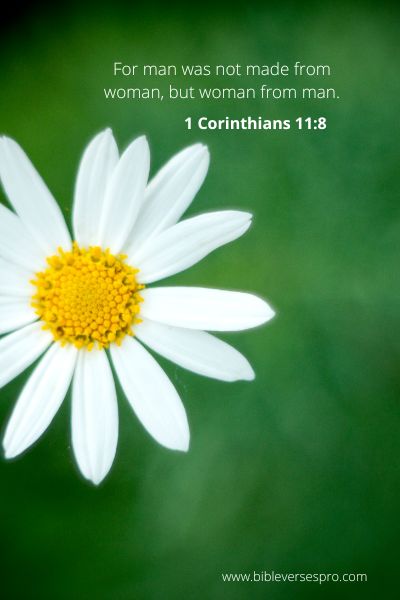 1 Corinthians 11:8 - Woman Made For Man