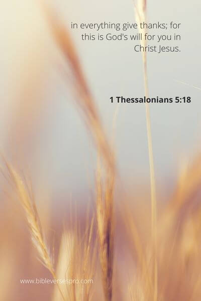 1 Thessalonians 5_18 - In all circumstances, give thanks