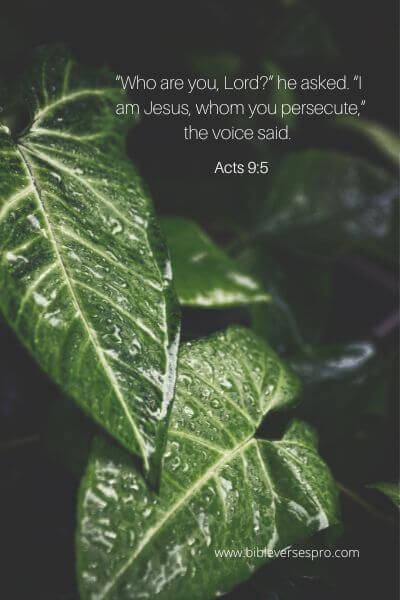 Acts 9-5 – The Persecuted One