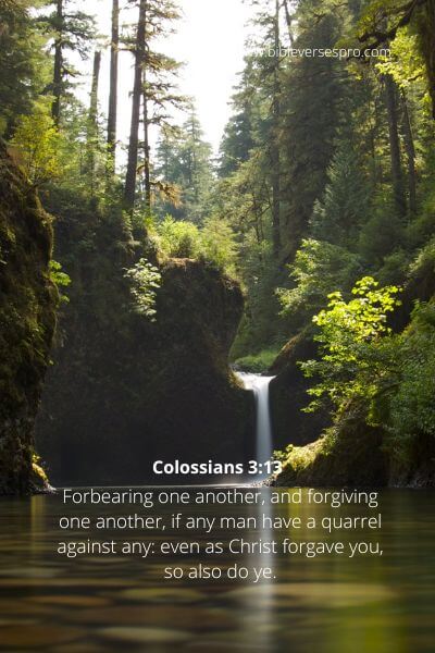 Colossians 3-13-14 - Forgive even as Christ forgave you.