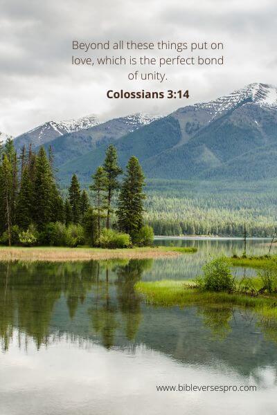 Colossians 3-14 - Divorce is not the will of God.