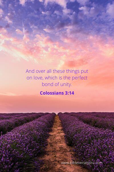 Colossians 3-14