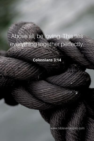 Colossians 3_14