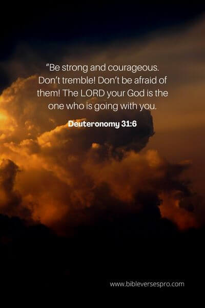 Deuteronomy 31_6