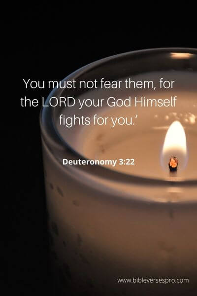 Deuteronomy 3_22