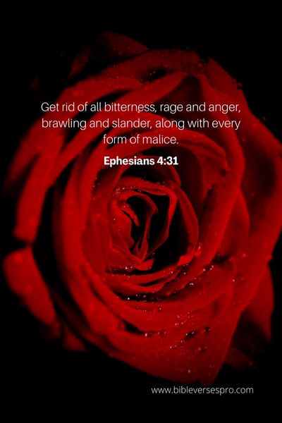 Ephesians 4_31