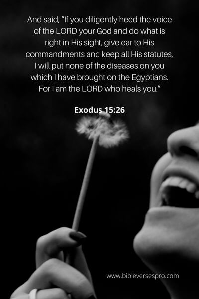 Exodus 15_26