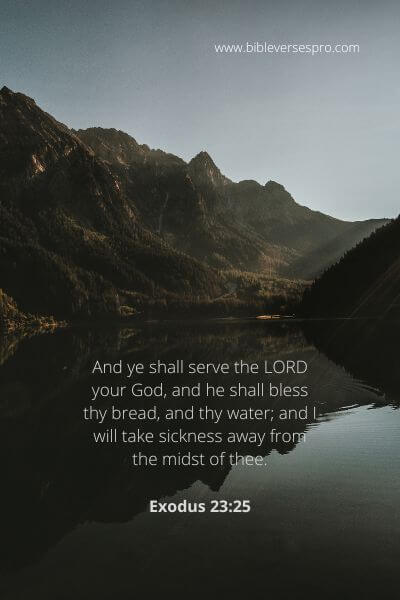 Exodus 23-25 - Obedience To The Word Of God.