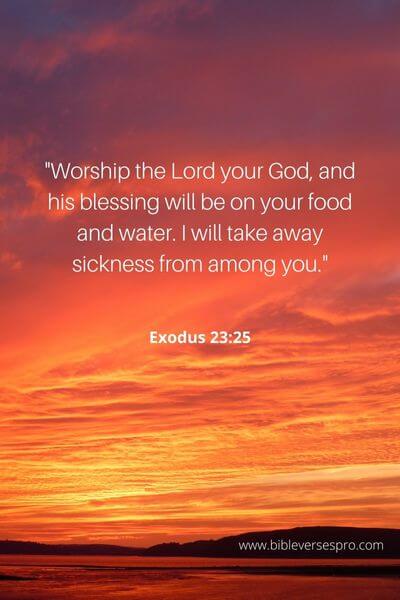 Exodus 23_25