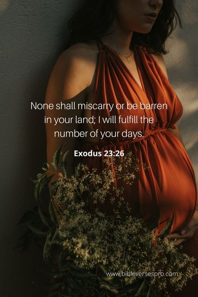 Exodus 23_26