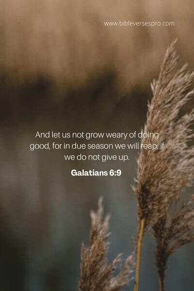 Galatians 6_9 