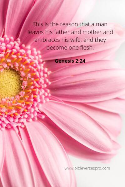 Genesis 2-24 - A Man'S Responsibility To His Marriage And Family