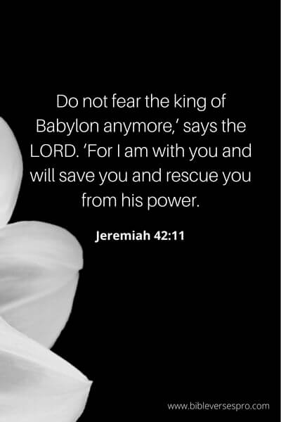 Jeremiah 42_11