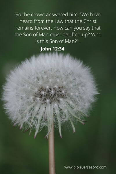 John 12-34