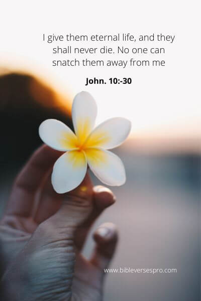 John. 10--30