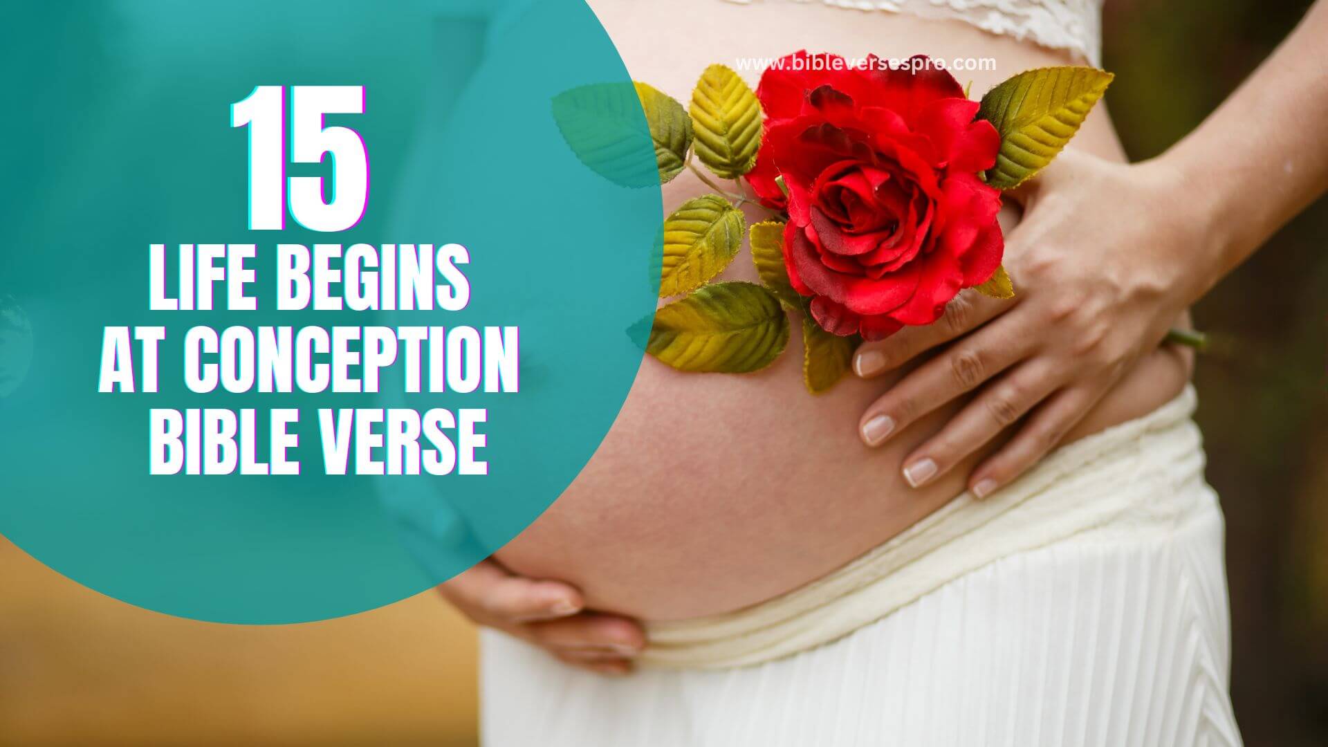 Life Begins At Conception Bible Verse