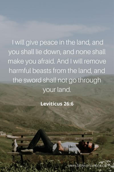 Leviticus 26_6