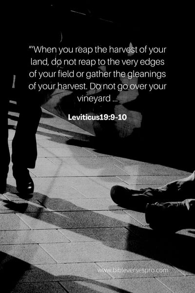 Leviticus19_9-10