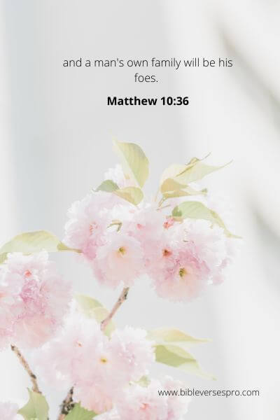 Matthew 10-36 - Strengthen In Faith