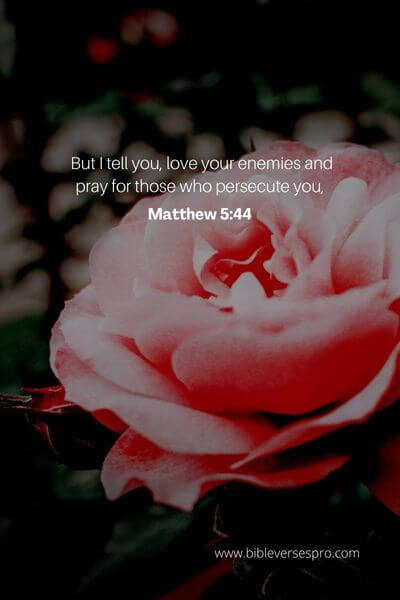 Matthew 5_44