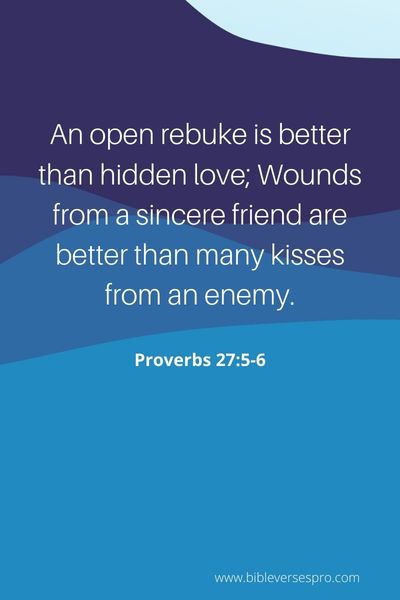 Proverbs 27_5-6