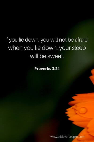 Proverbs 3_24