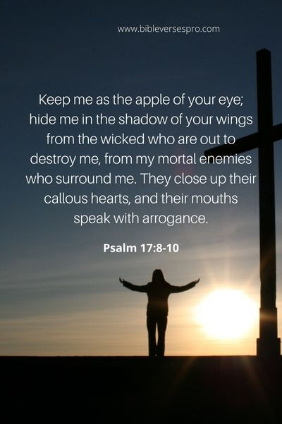 Psalm 17_8-10