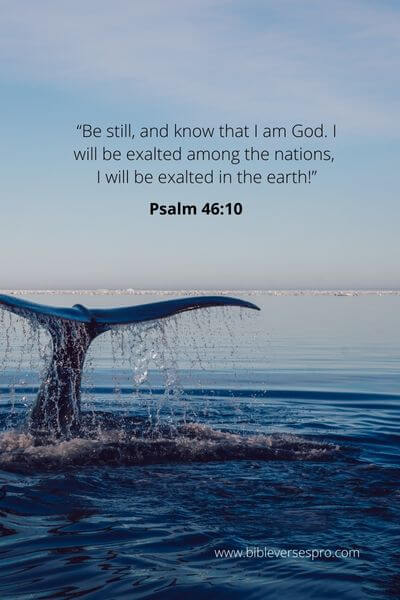 Psalm 46:10 - Meditate On God'S Word