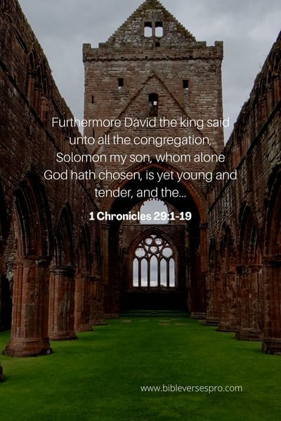 1 Chronicles 29:1-19