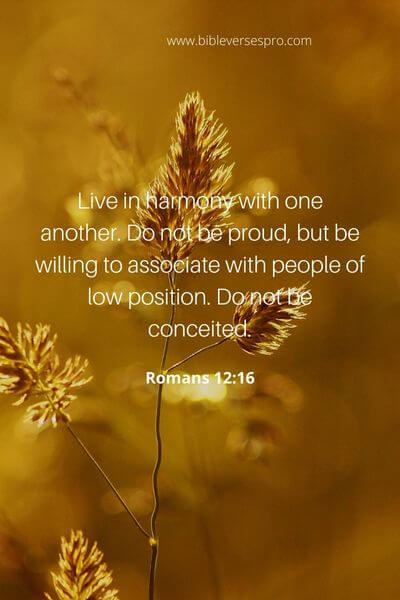 Romans 12_16