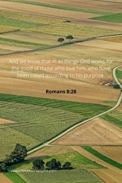 Romans 8-28 - God works for your good